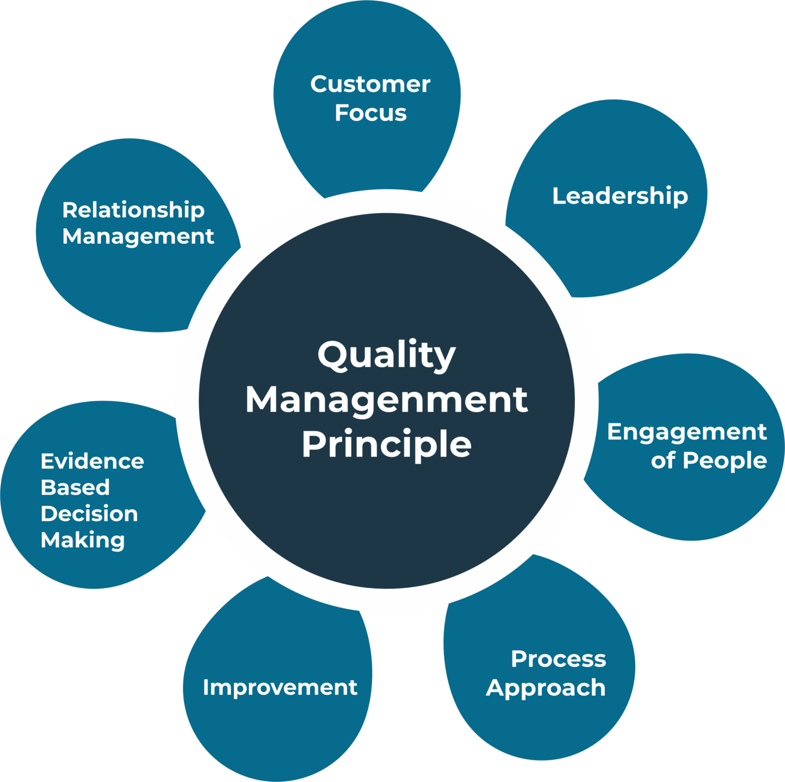 Auditing and QMS Implementation – Modrig